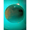 image: Pompa Wilo Typ IPN50/180-5,5/2 EEX G12B    art. Nr 2016138