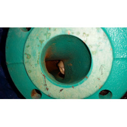 image: Pompa Wilo Top-S 50/4 230V nowa powystawowa